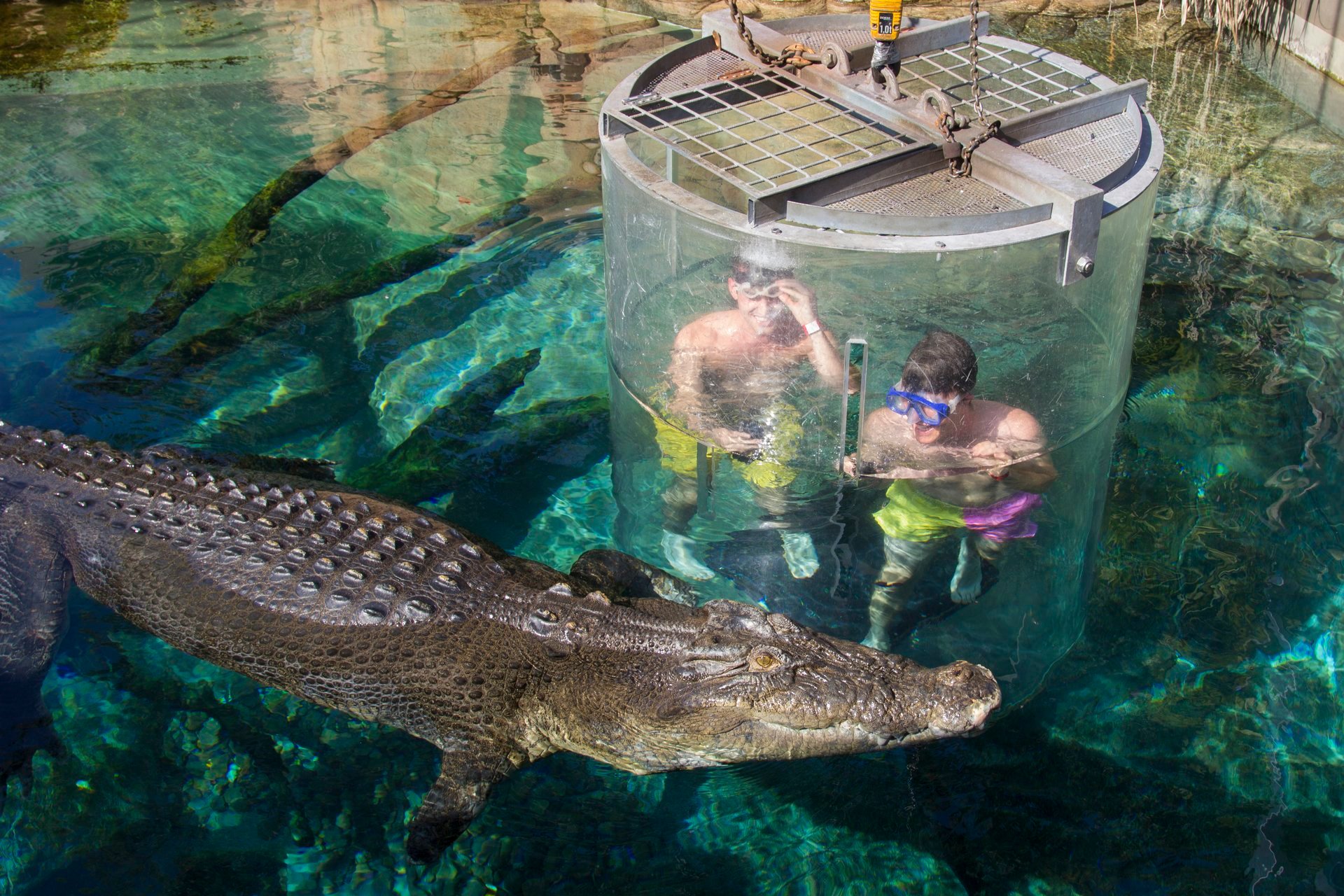 A day of wildlife and nature in Darwin