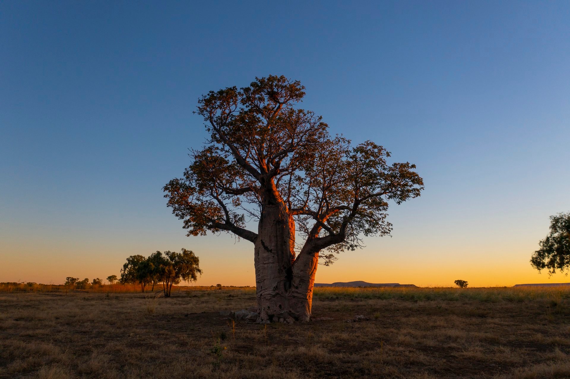 Katherine to Keep River National Park 5 day drive itinerary