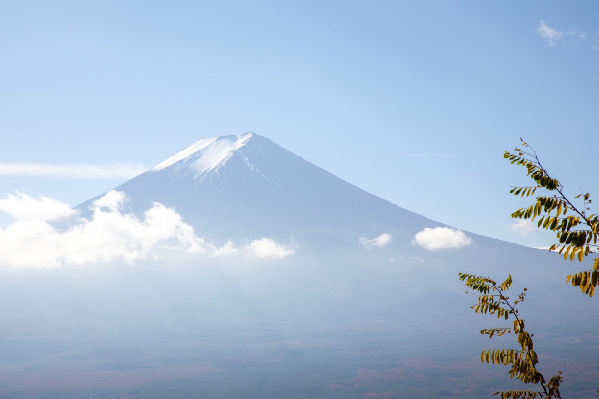 Explore the Fuji Five Lakes