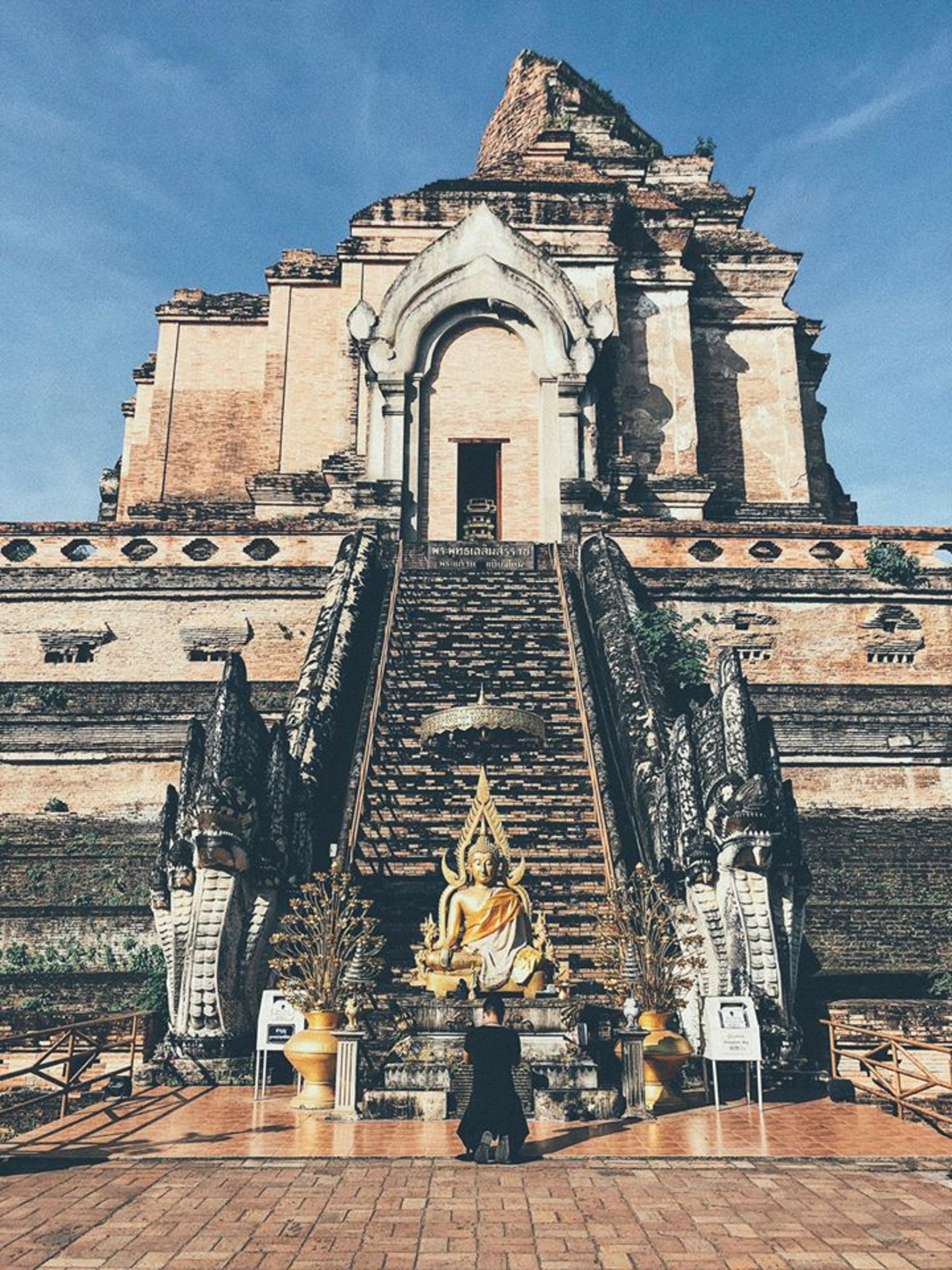 Lạc trôi ở Chiangmai