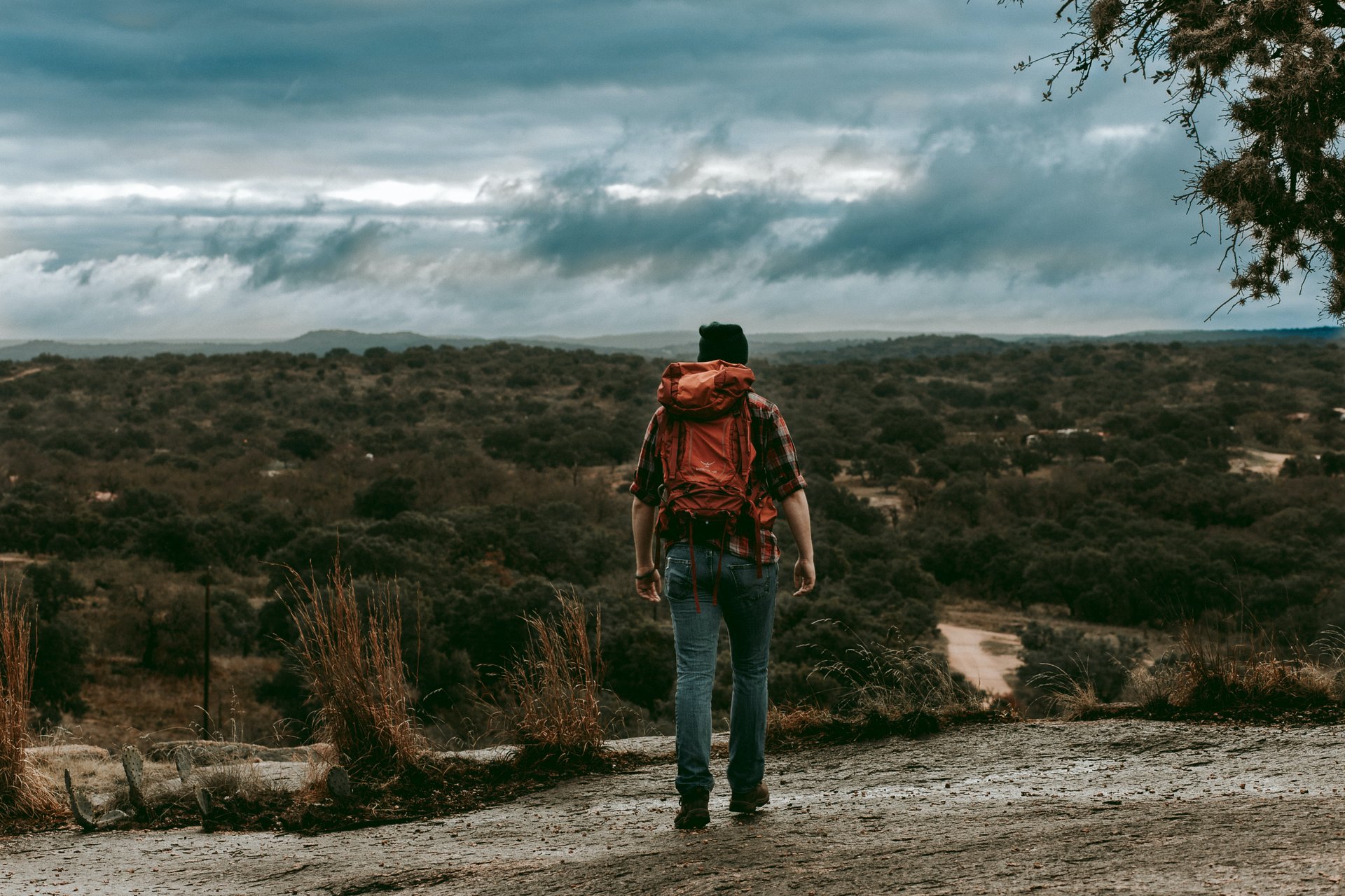 6 Texas State Parks for Nature Lovers