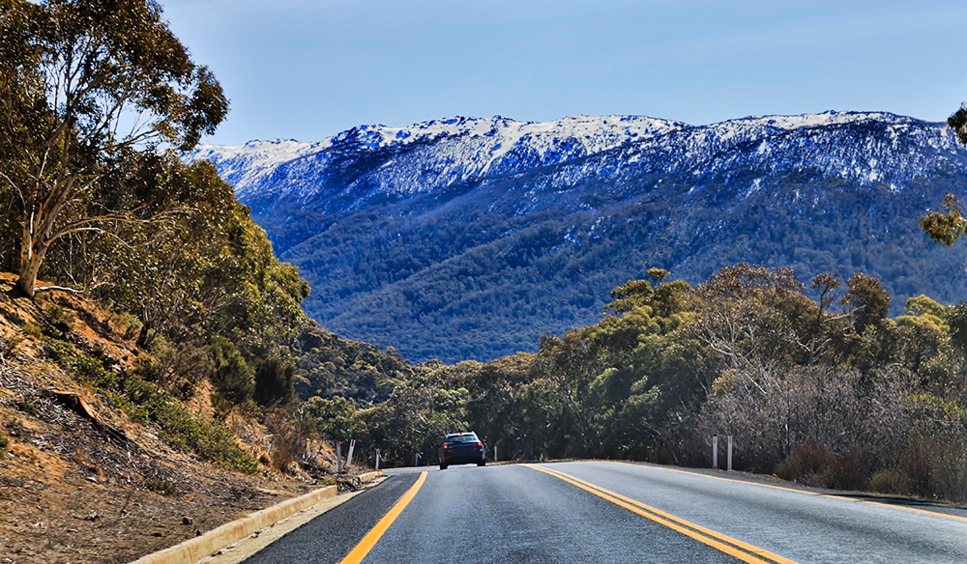 New South Wales Road Trip