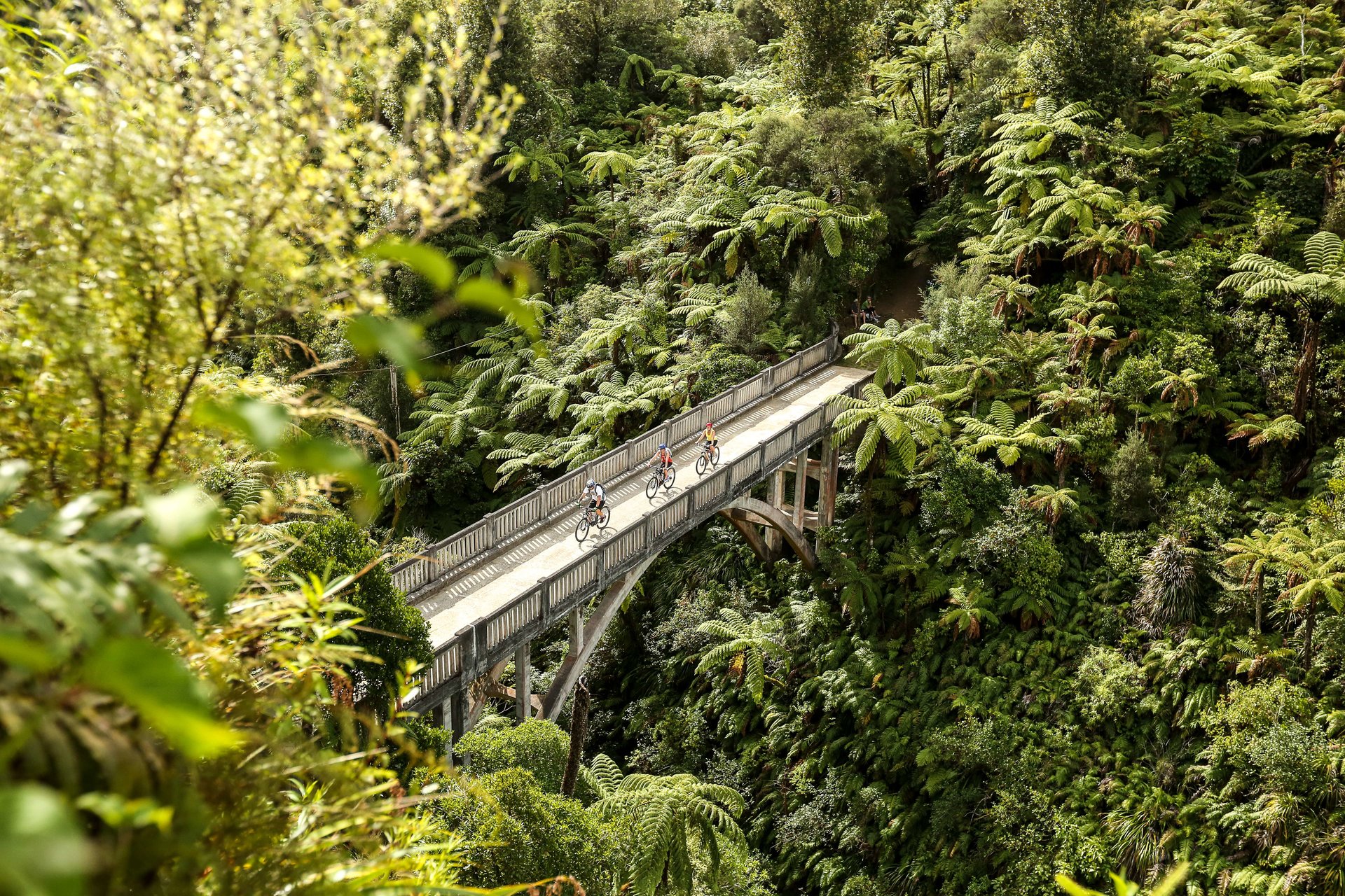 North Island circuit