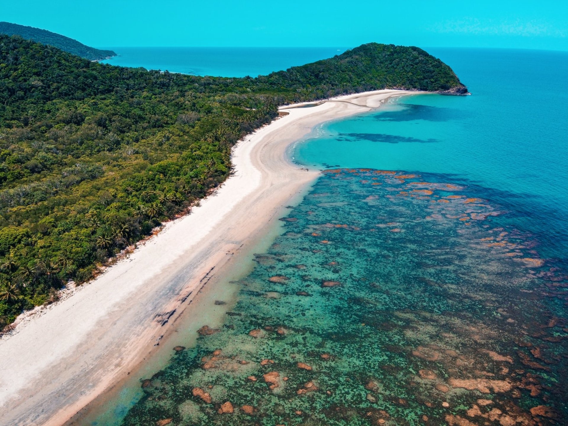 Experience the Daintree Rainforest in 4 days