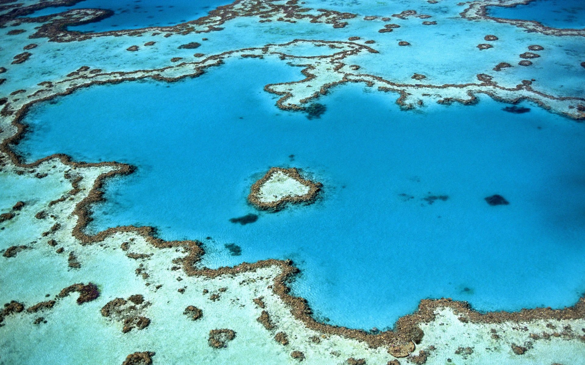 The most incredible way to experience Heart Reef up close