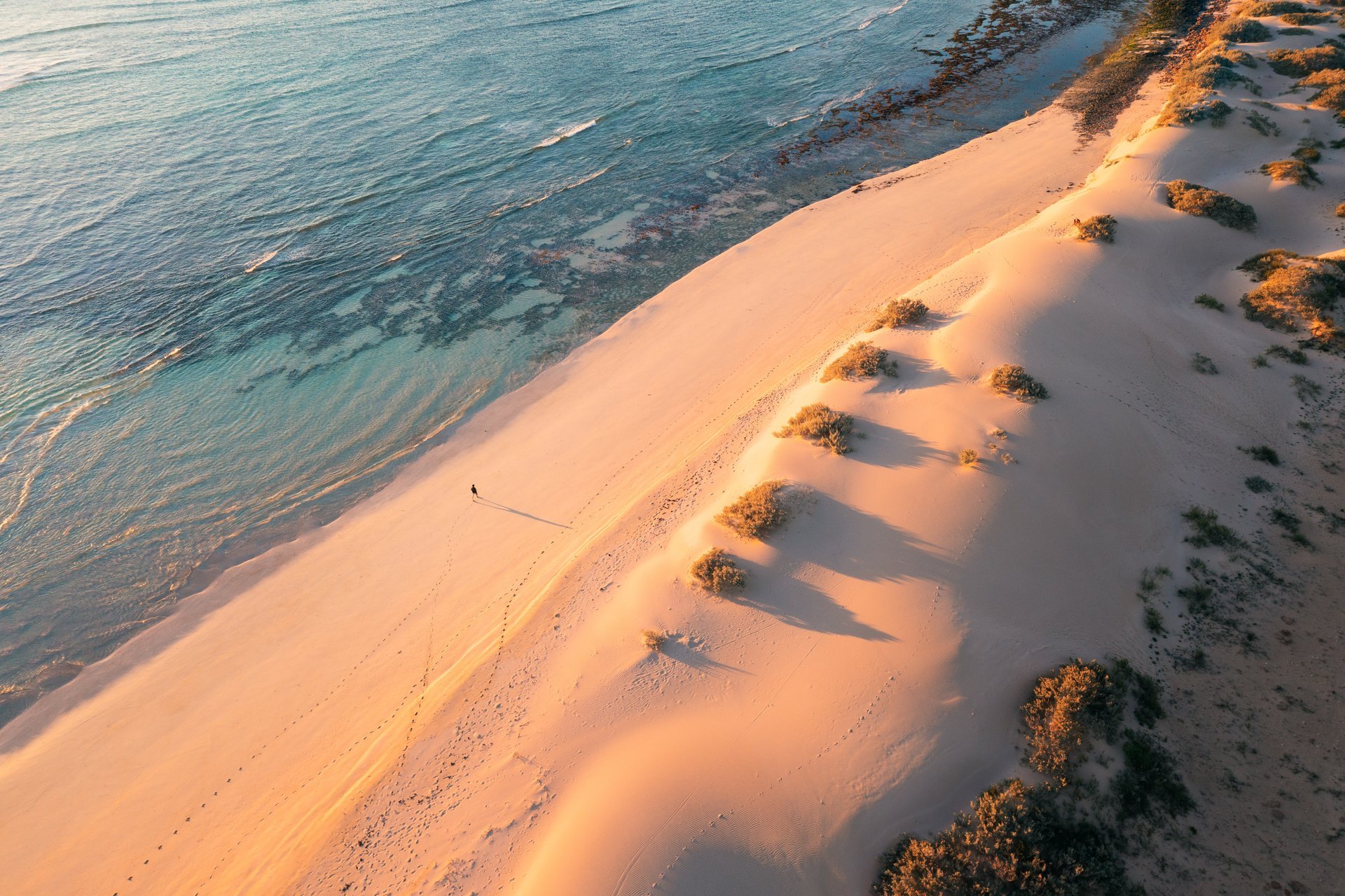 Tour two wonders that put Ningaloo and Shark Bay on the UNESCO World Heritage List