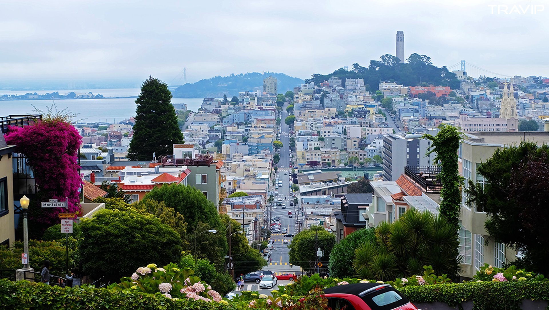 Choáng ngợp con phố thần tiên ở San Francisco