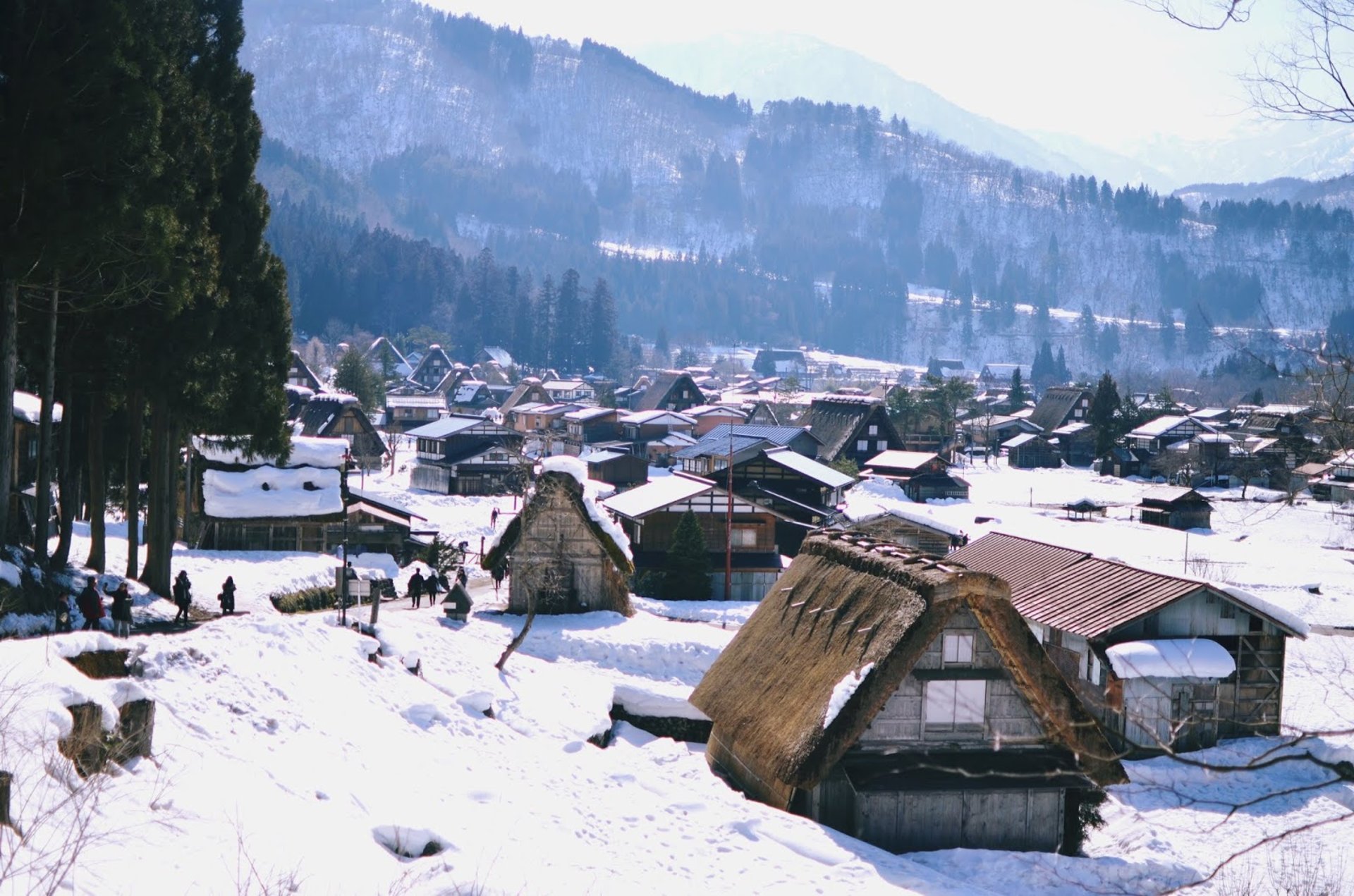 [Du lịch Nhật Bản tự túc] Sớm thức dậy ở ngôi làng Shirakawa-go (kỳ 1)