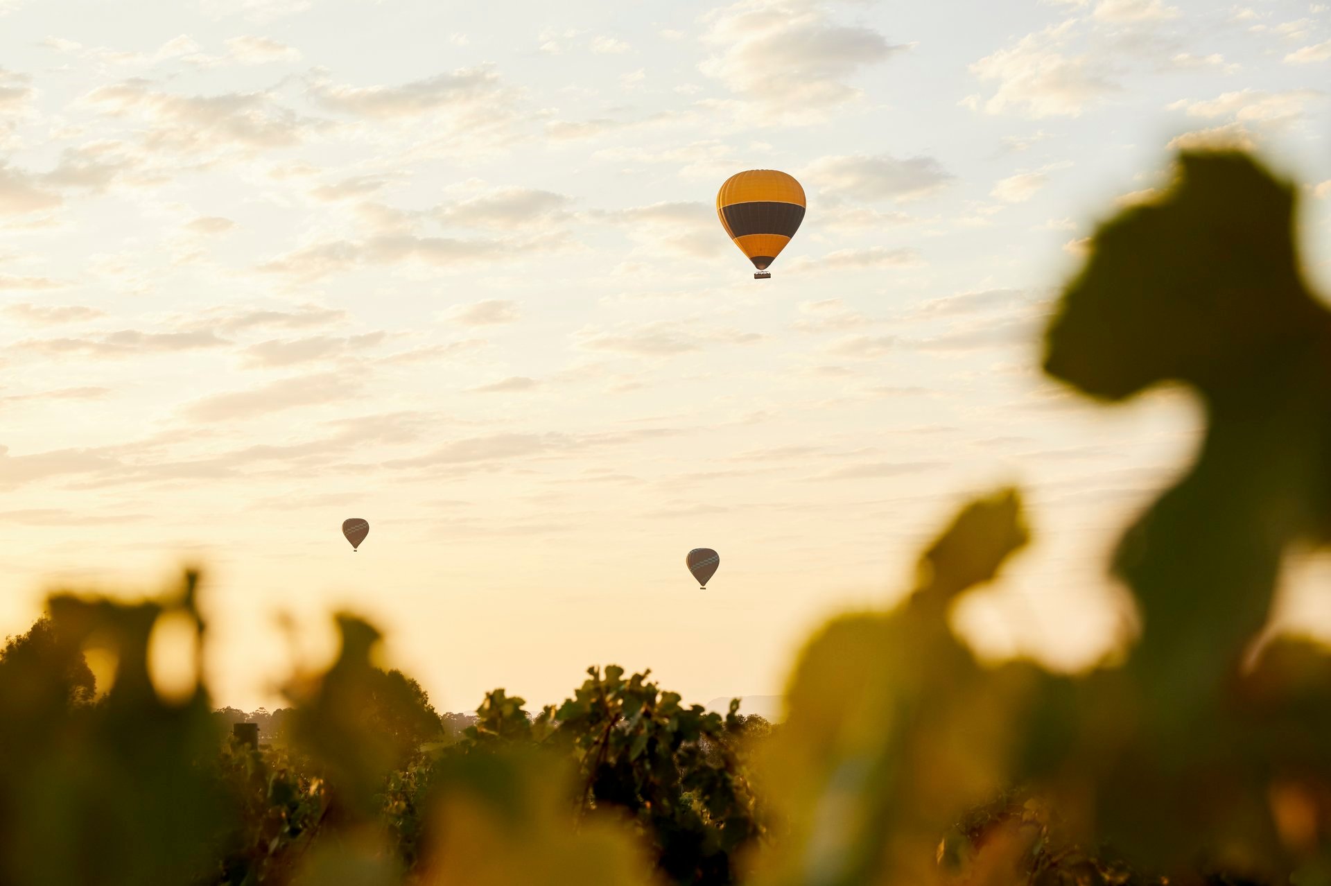 Hunter Valley: beautiful wines and spectacular local produce