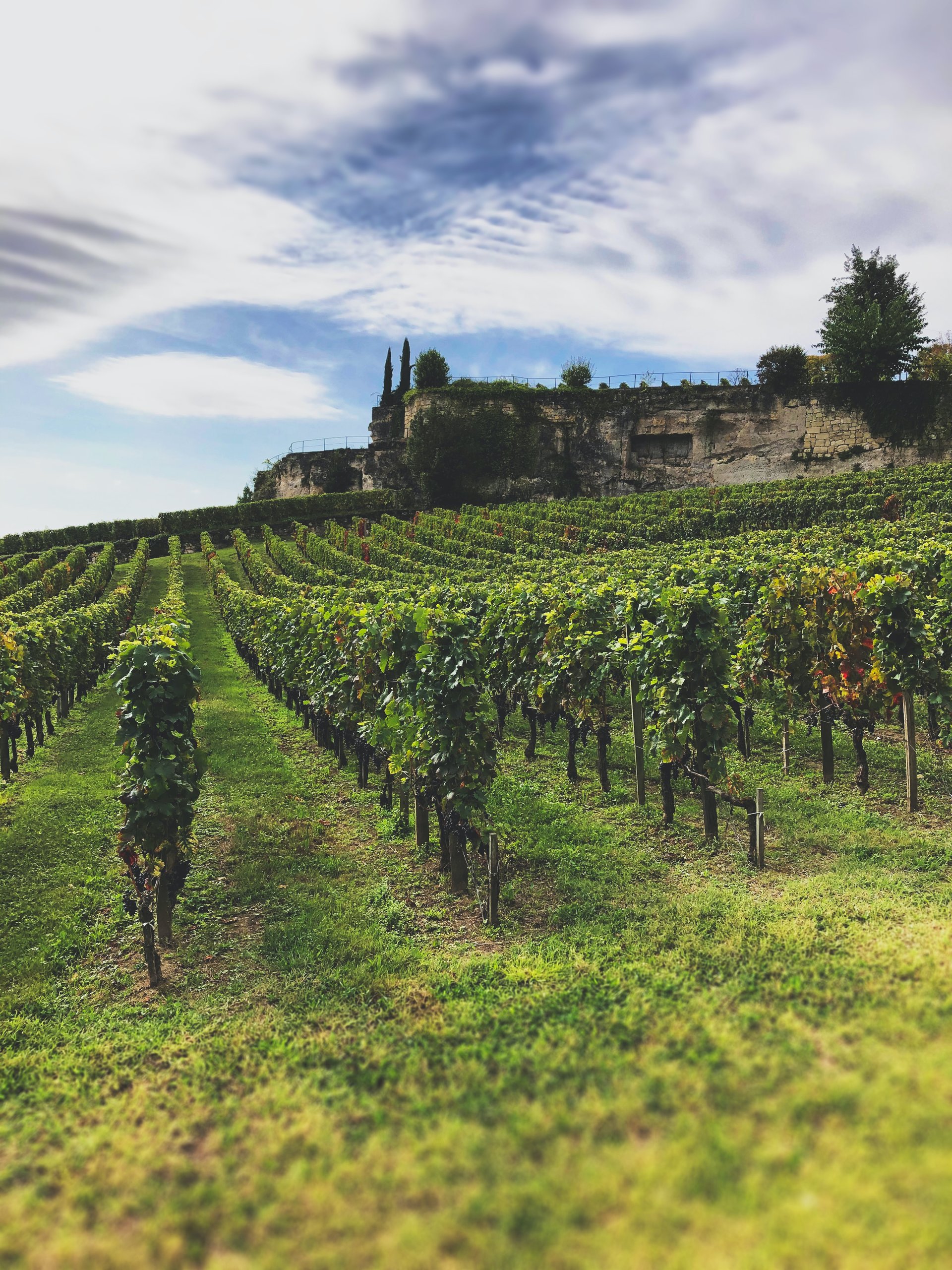 The perfect guide to discovering the Vineyards of Bordeaux.