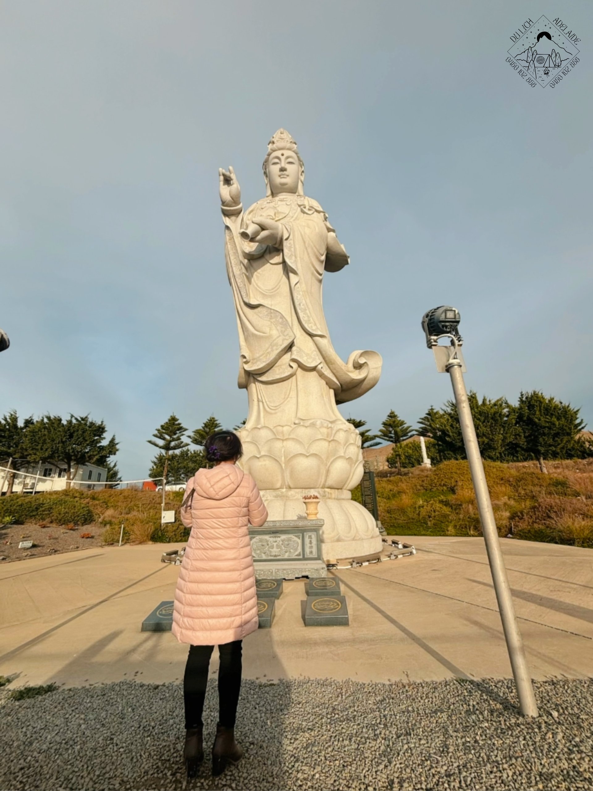 Image 13