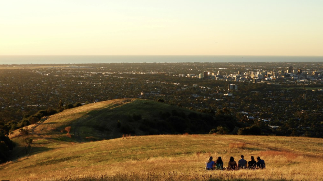 Image 12