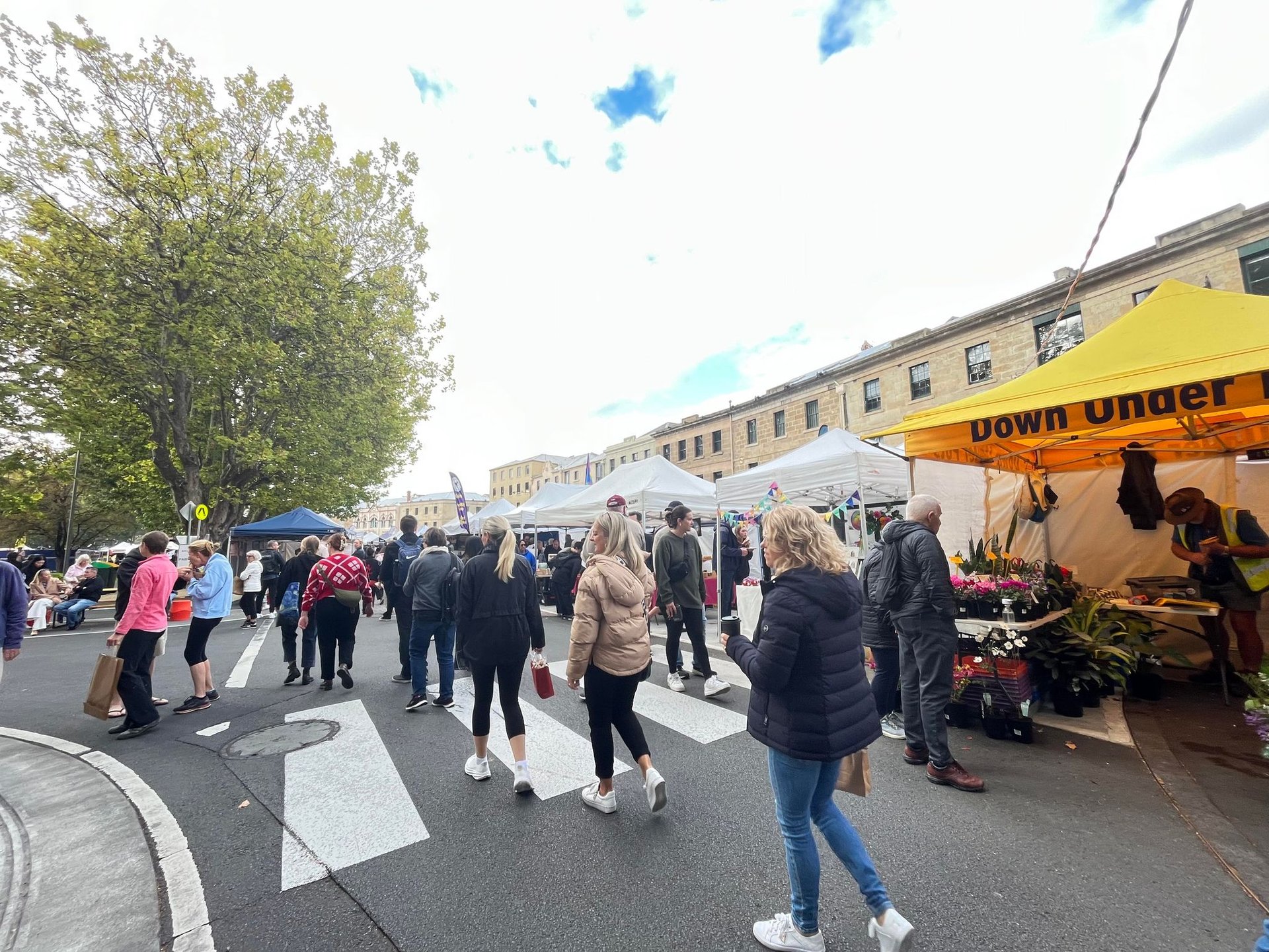 Tour ghép City tour Hobart