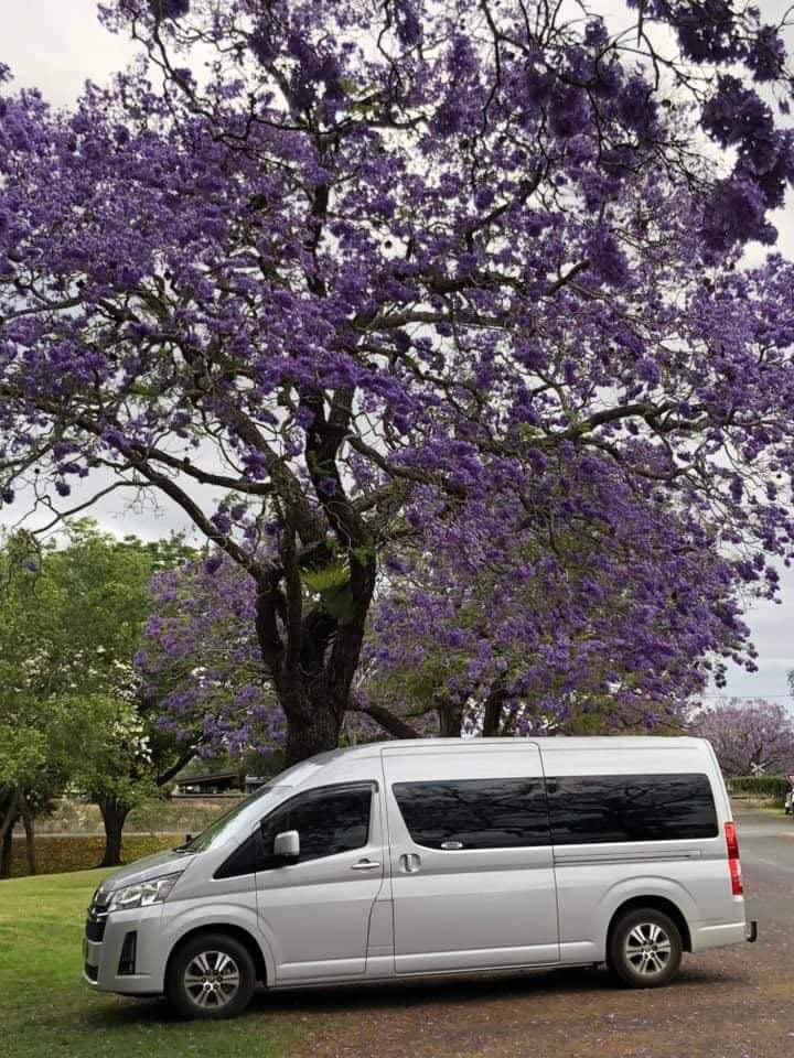 Đưa đón sân bay Sydney