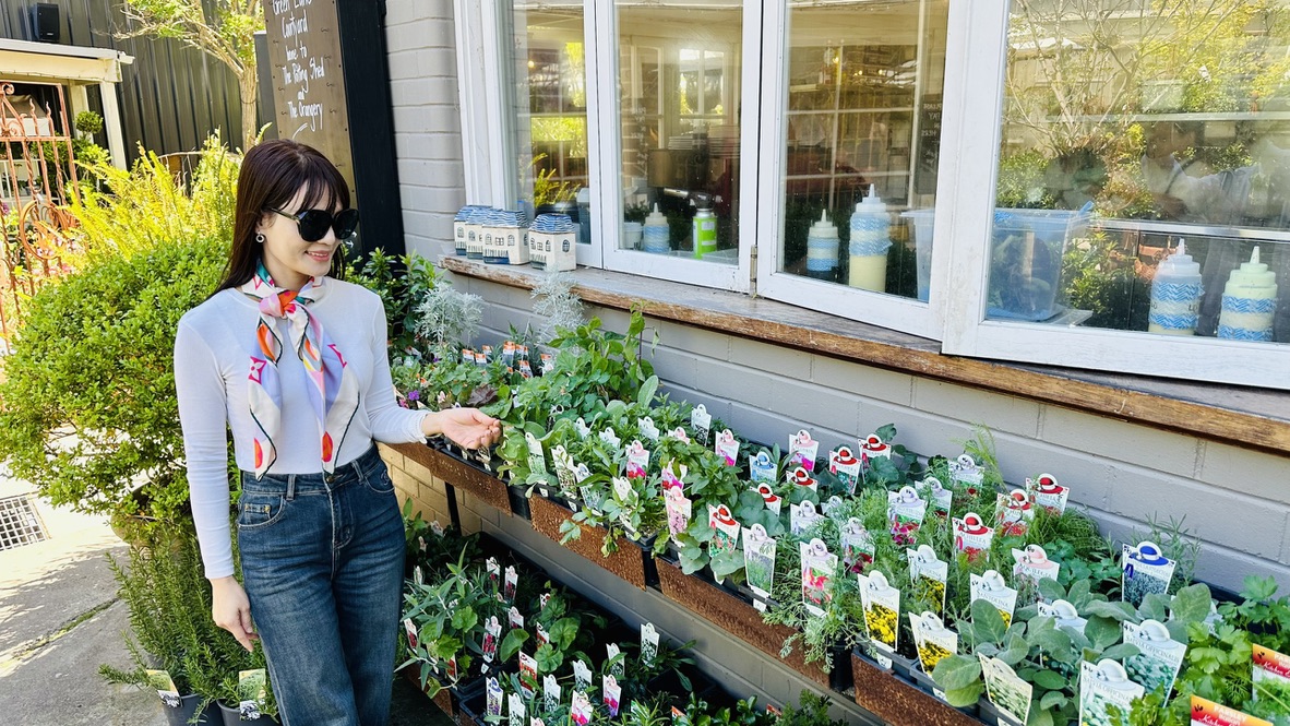 Tour vườn rượu nho Bowral và Southern Highlands