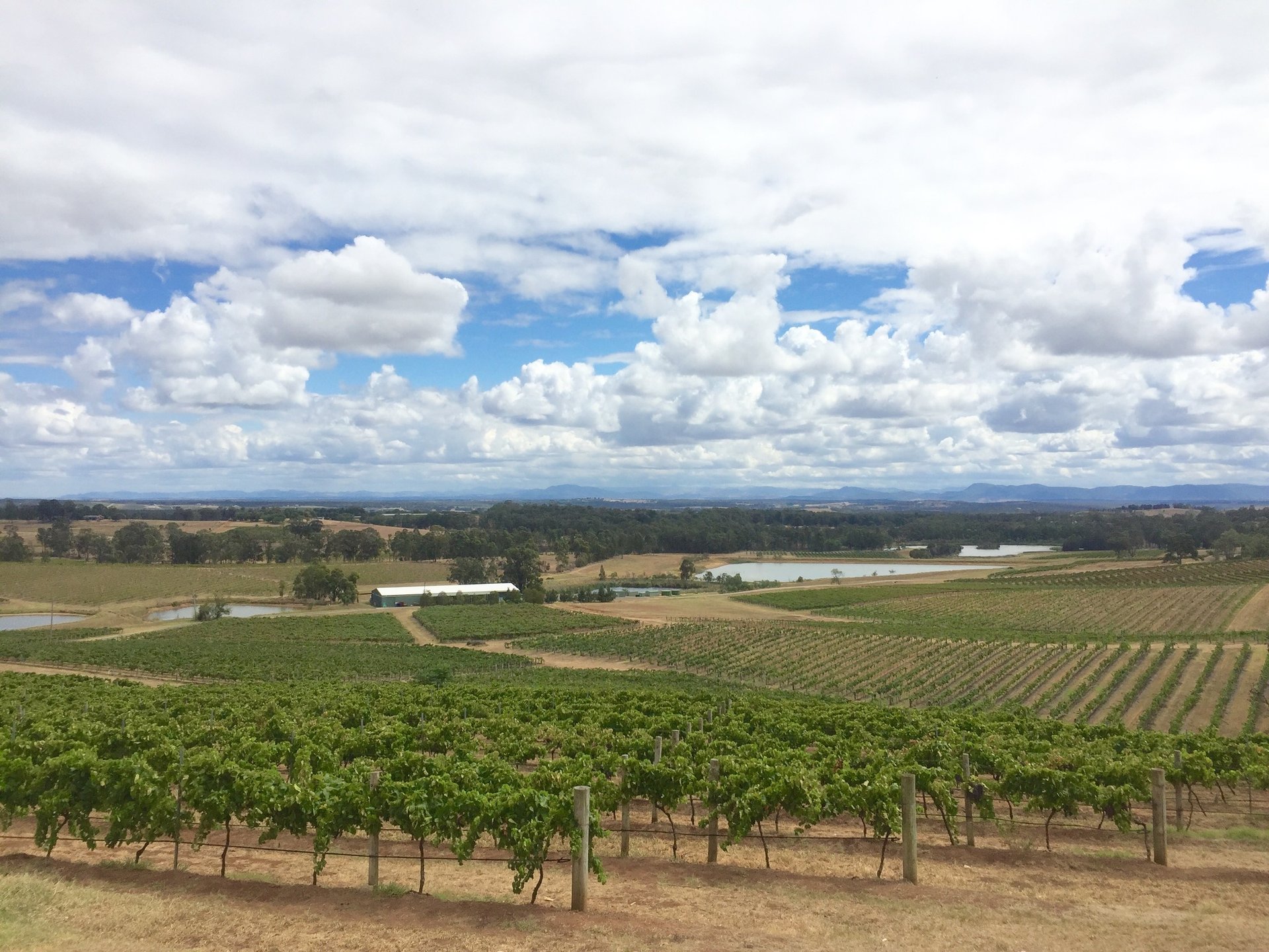 Hunter Valley – Ghé thăm và trải nghiệm ở Thung Lũng Rượu vang