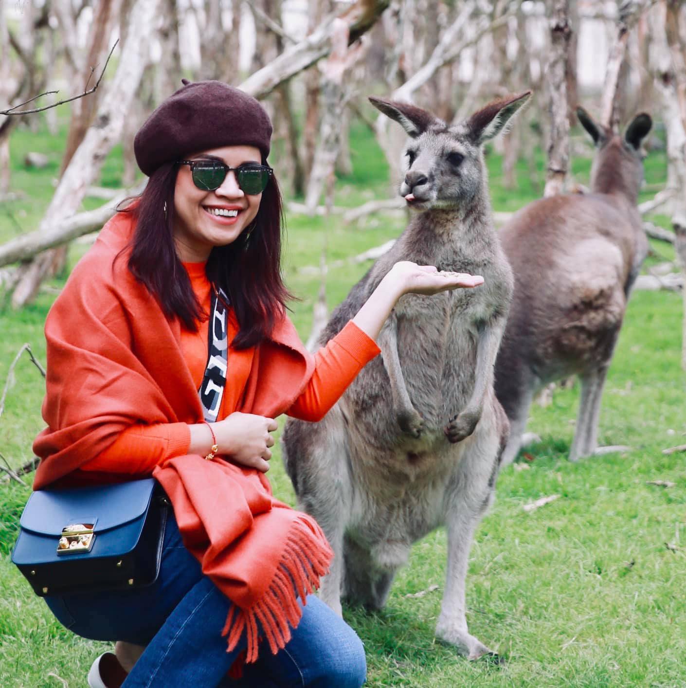 Phillip Island - Xem Chim Cánh Cụt Và Tham Quan Vườn Thú Hoang Dã