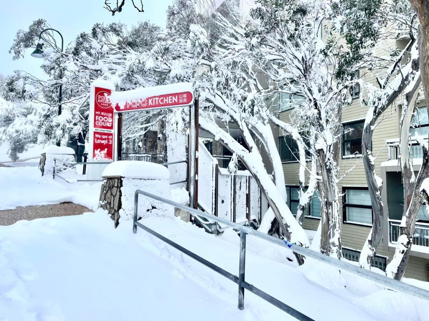 Tour Núi Tuyết Mt Buller - Tháng 6-9/2025