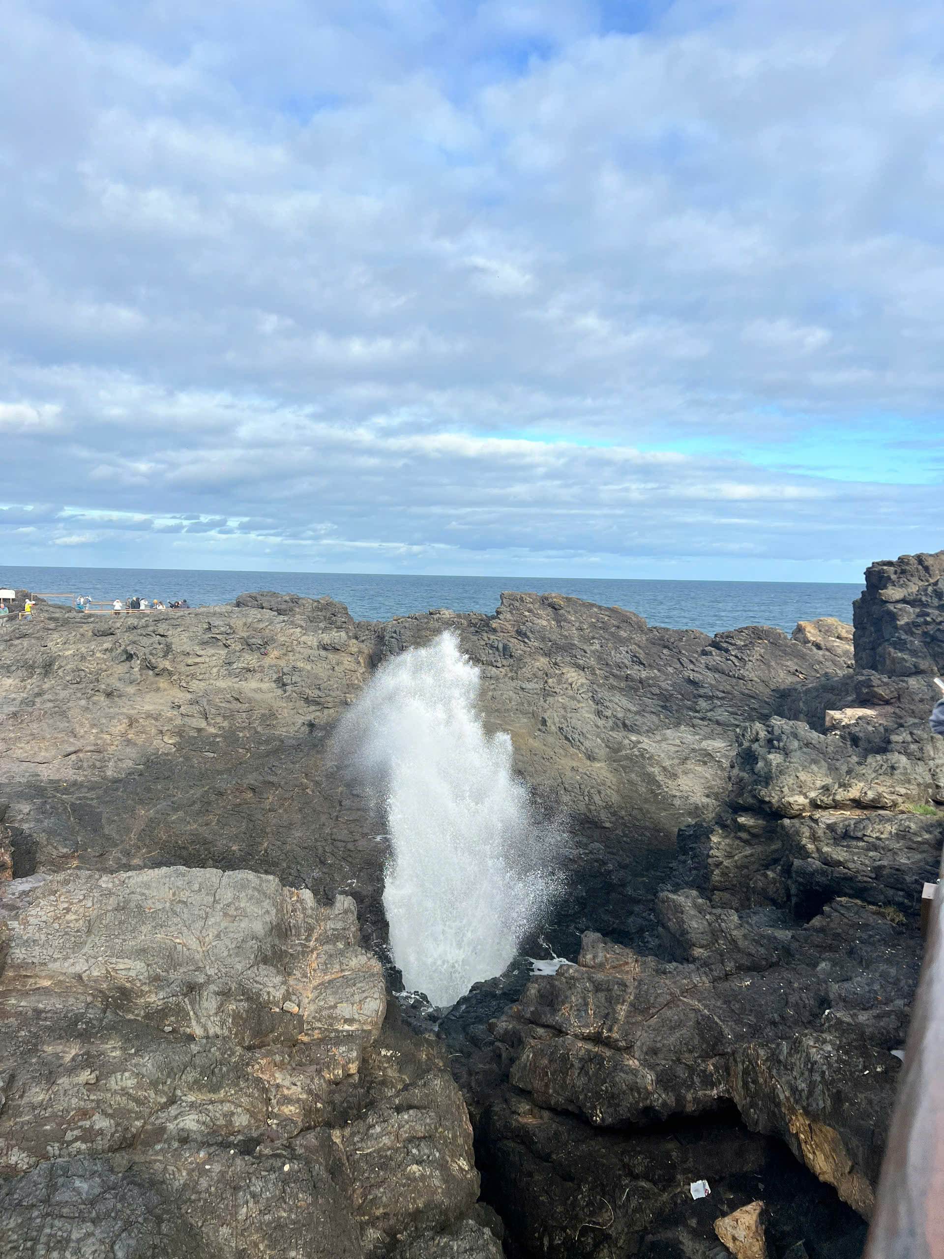 Image 21