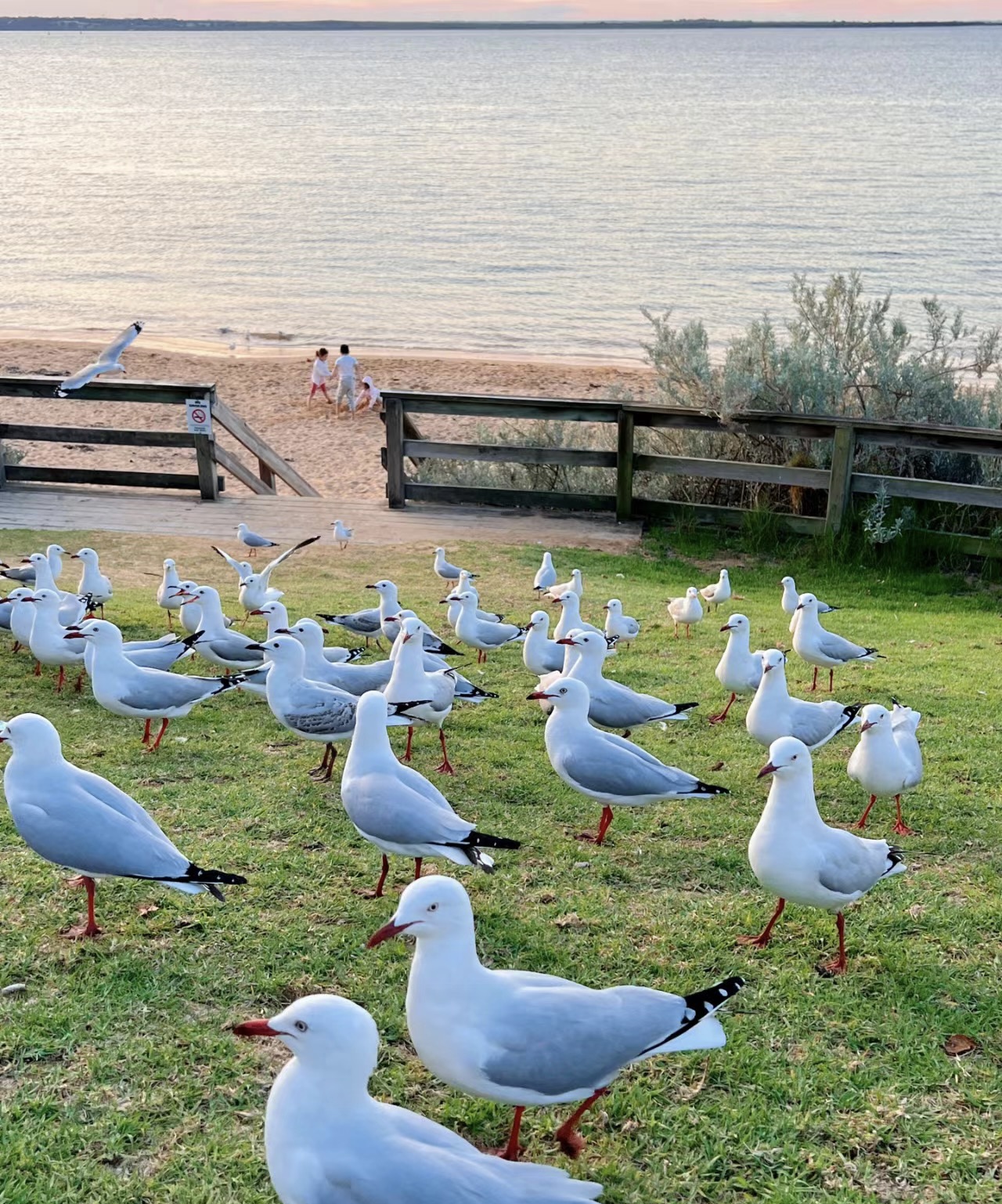 Image 12