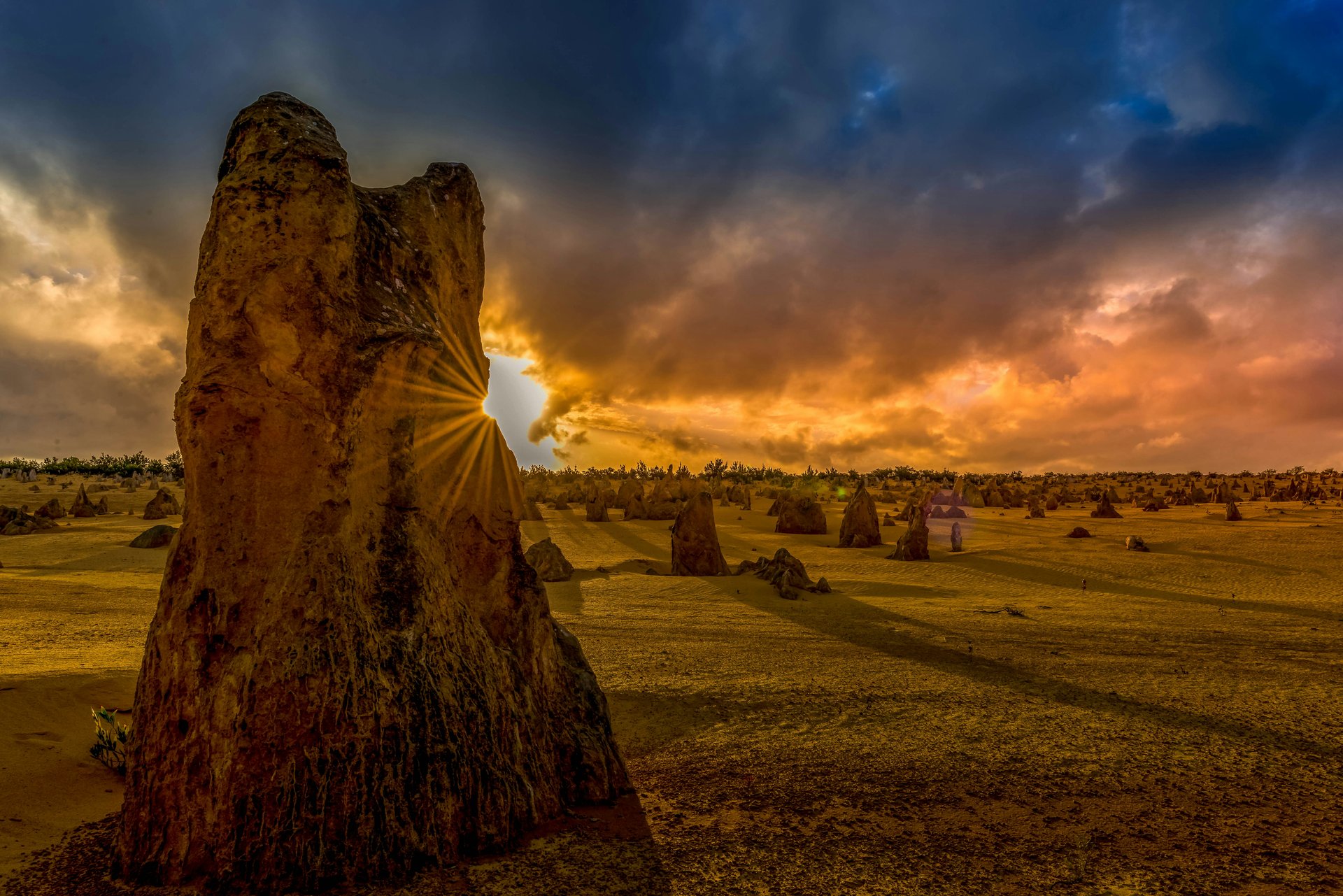 Tour 1 Ngày Tham Quan Yangchep  Farm Tôm Hùm Pinnacles