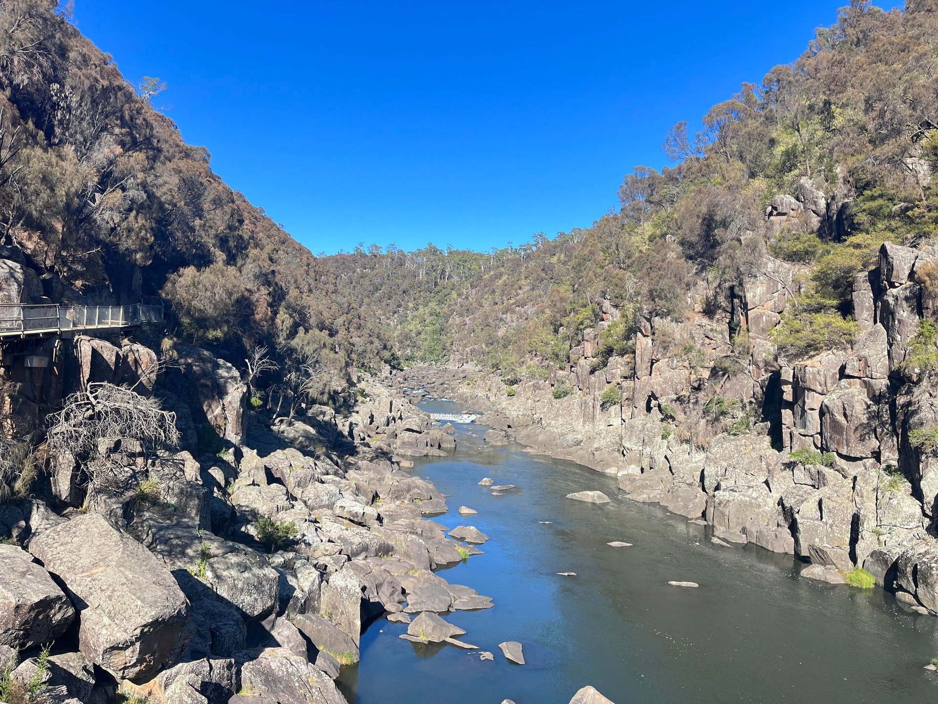 Tour Hoa Tulips tại Tasmania 2D1N Tháng 10
