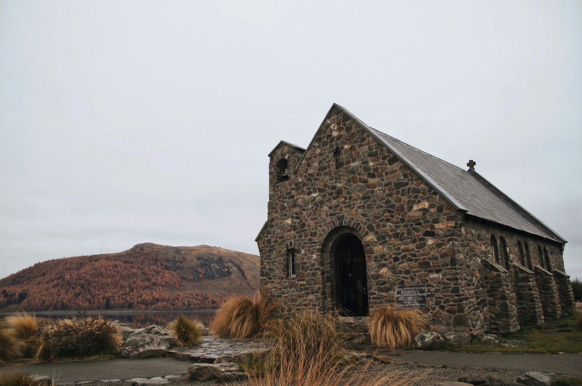 Image 7