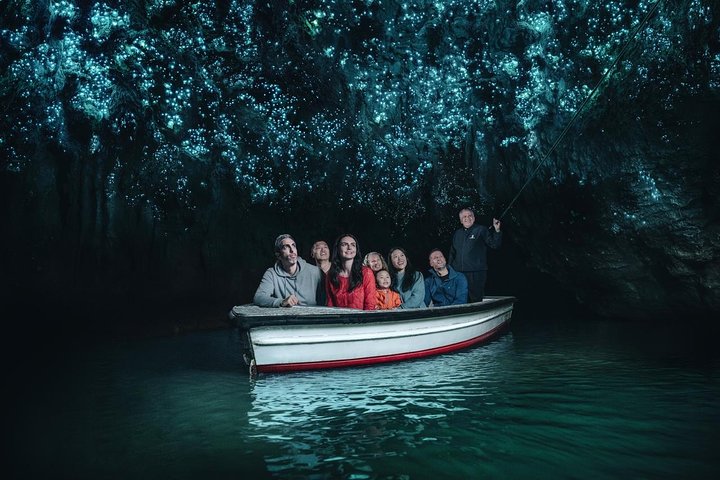 Waitomo Glowworm Caves Guided Tour