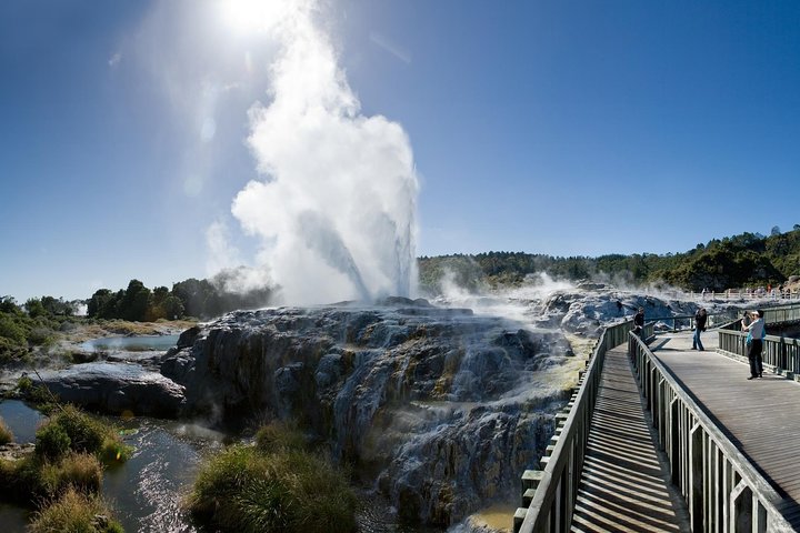 Private Tour to Rotorua (Max 11 Passengers)