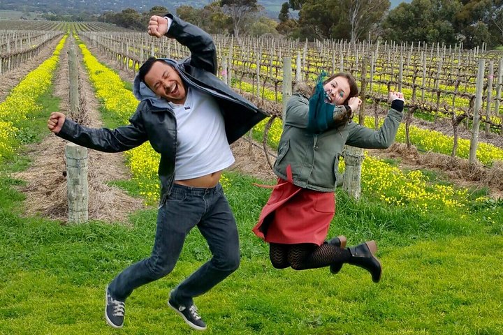 McLaren Vale Small Group Wine Tour