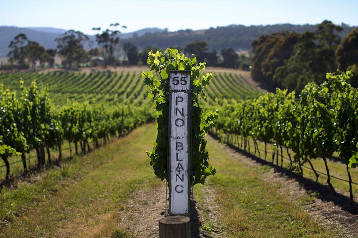 Ultimate Yarra Valley Chandon, Soumah & De Bortoli Cheese & Wine 