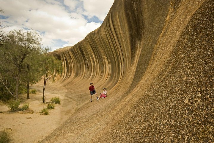 Wave Rock, York, Wildflowers, and Aboriginal Cultural Day Tour from Perth