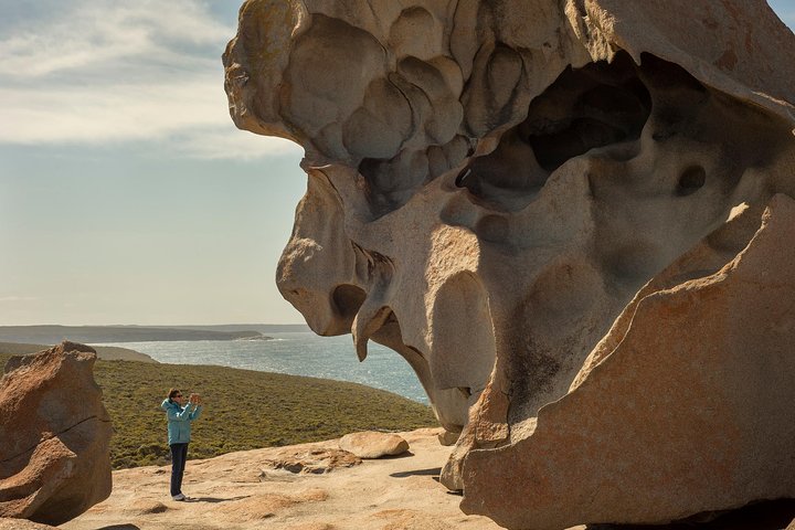 Kangaroo Island in a Day Tour from Adelaide