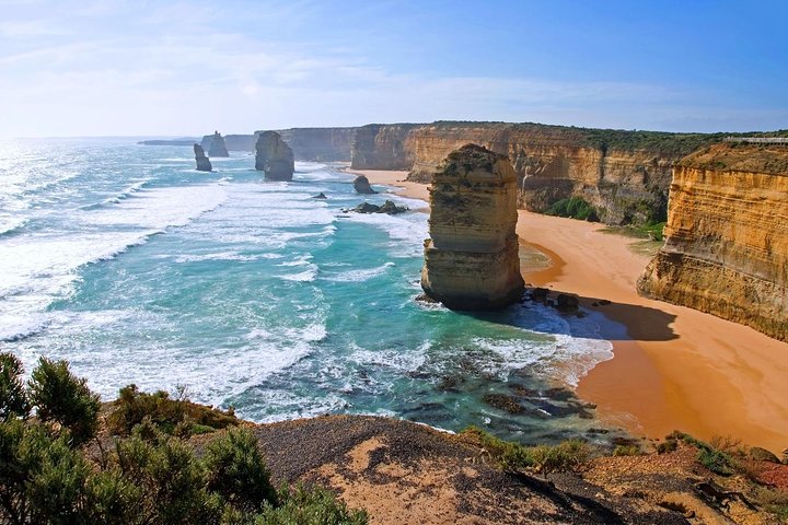 Great Ocean Road Small-Group Ecotour from Melbourne