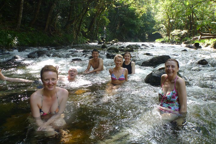 Daintree Rainforest, Mossman Gorge Small-Group from Port Douglas