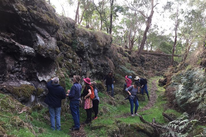 Mount Eccles Volcano – Budj Bim National Park 