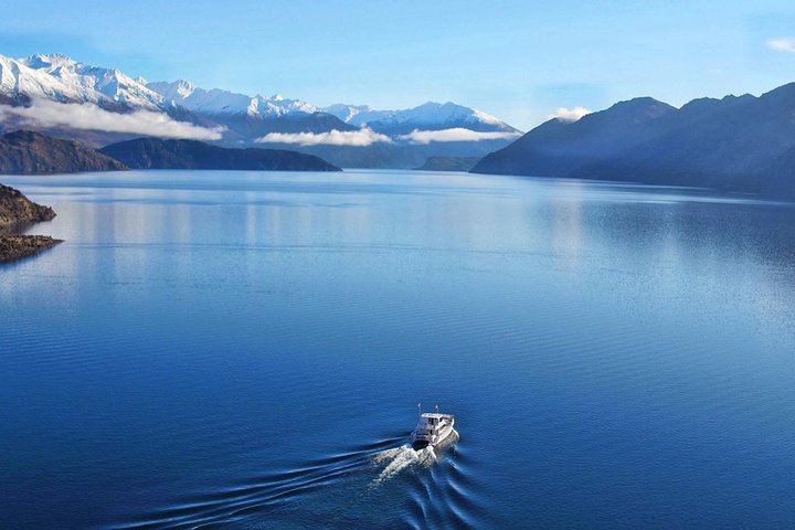 Stevensons Island Cruise and Nature Walk from Wanaka