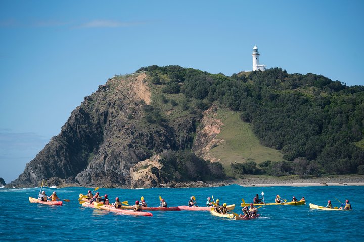 Kayaking with Dolphins in Byron Bay Guided Tour