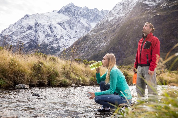 Milford Sound Coach and Cruise from Te Anau with Buffet Lunch