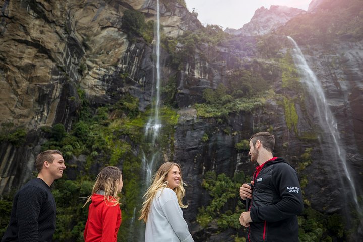 Milford Sound Coach and Cruise from Queenstown with Buffet Lunch