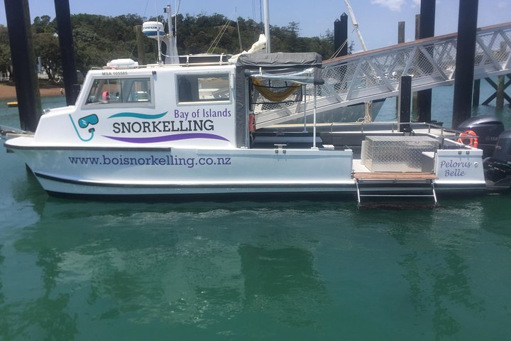 Bay of Islands Snorkelling Ltd