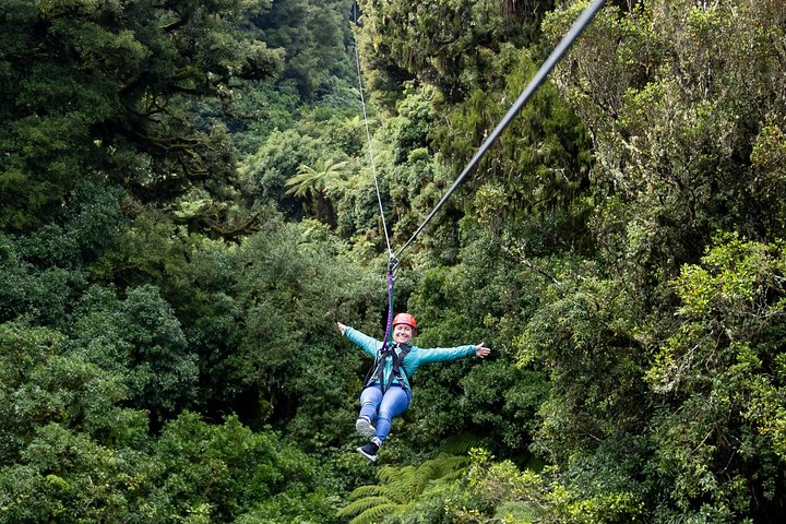 Ziplining Forest Adventure - The Original Canopy Tour Rotorua