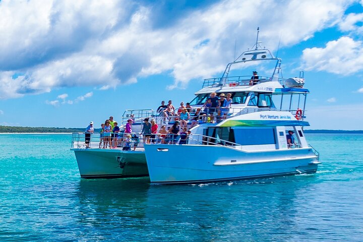 Jervis Bay Whale Watching Tour