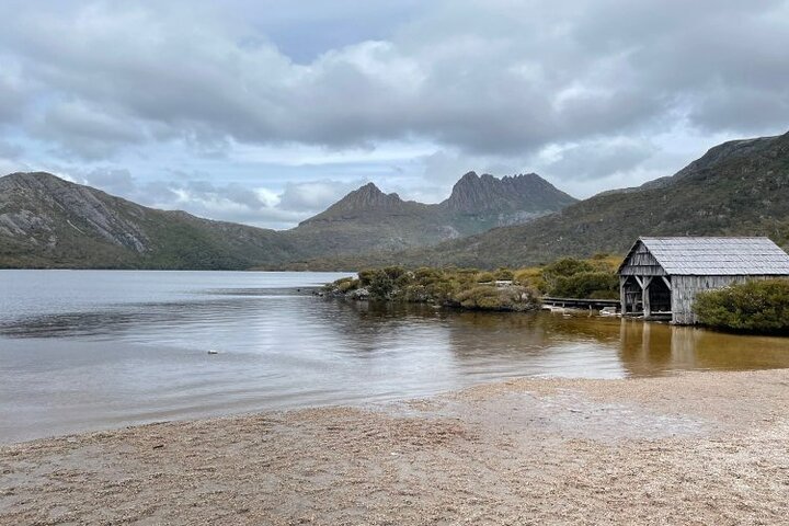 Cradle Mountain National Park Day Tour from Launceston