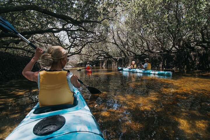 Dolphin Sanctuary Kayak Tour Adelaide