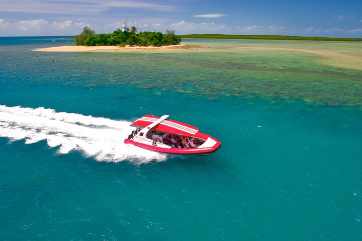 2 1/4 hr Low Isles Reef Sprinter Snorkelling Tour 