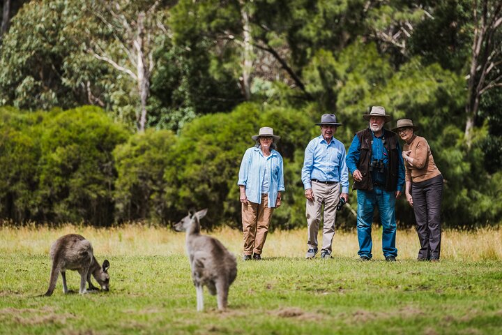 Best of Wildlife and Birds Tour