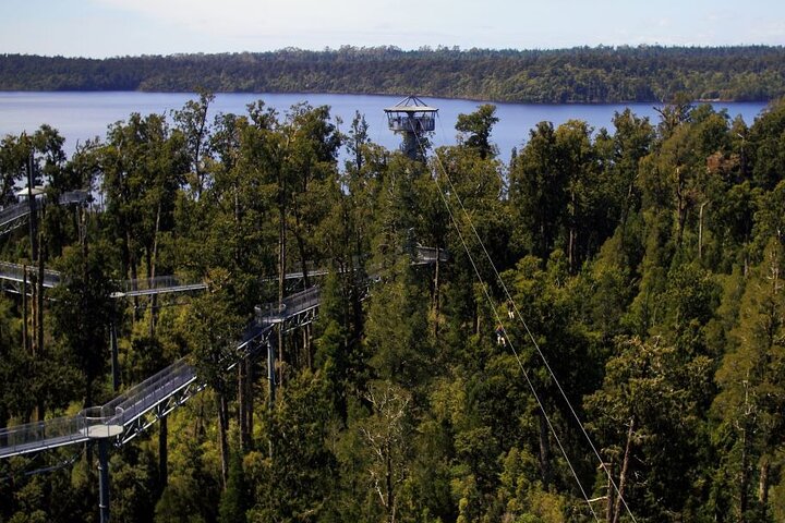 2-Hour Tower Zipline and Walkway Combo Private Guided Activity 