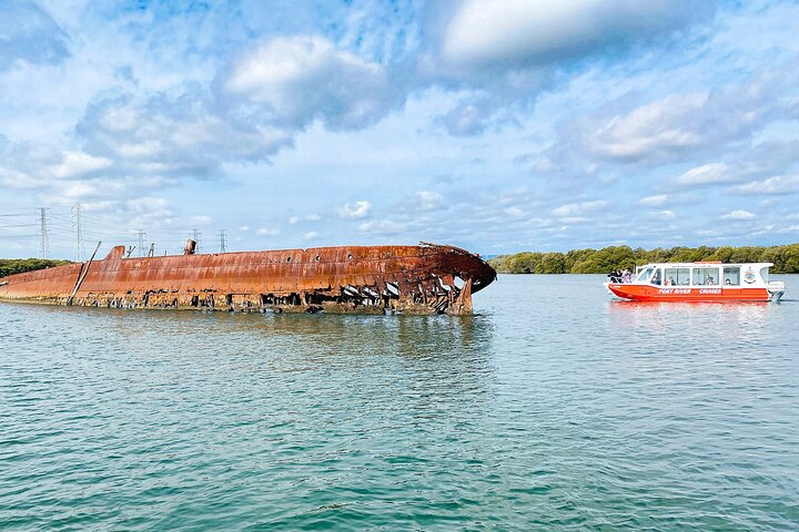 90 Minute Port River Dolphin & Ships Graveyard Cruise