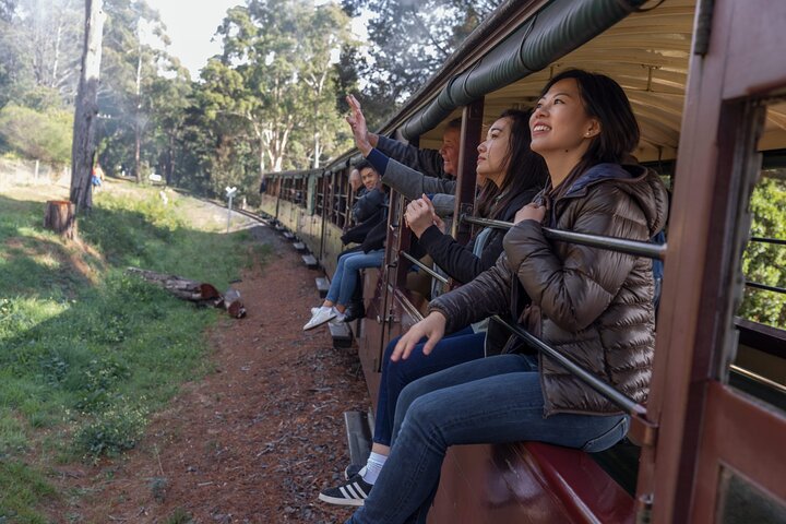 1 day Puffing Billy Steam Train and Wildlife Tour from Melbourne